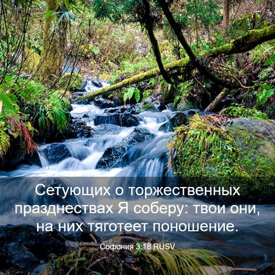 Picture 03 - Софония 3:18 RUSV - Сетующих о торжественных - Bible Verse Picture