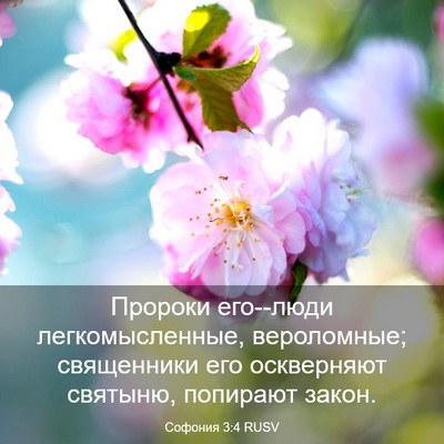 Picture 03 - Софония 3:4 RUSV - Пророки его--люди - Bible Verse Picture