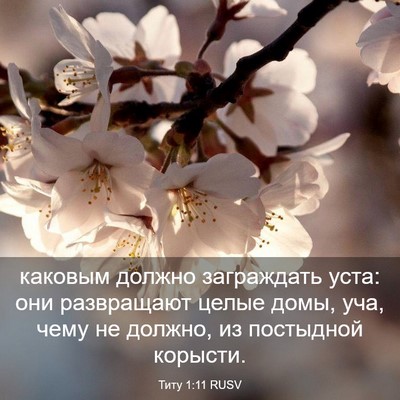Picture 03 - Титу 1:11 RUSV - каковым должно заграждать - Bible Verse Picture