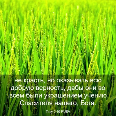Picture 03 - Титу 2:10 RUSV - не красть, но оказывать всю - Bible Verse Picture