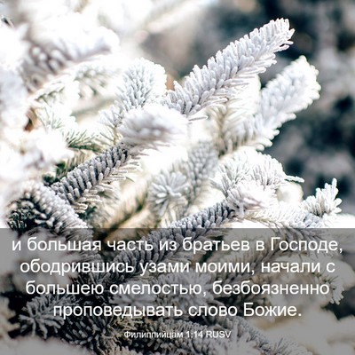 Picture 03 - Филиппийцам 1:14 RUSV - и большая часть из братьев - Bible Verse Picture