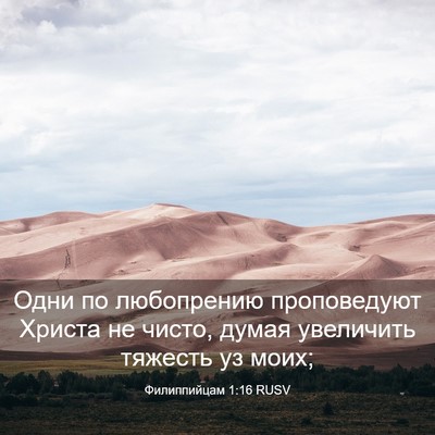 Picture 03 - Филиппийцам 1:16 RUSV - Одни по любопрению - Bible Verse Picture
