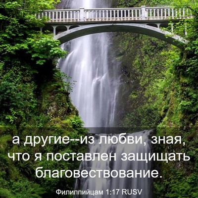 Picture 03 - Филиппийцам 1:17 RUSV - а другие--из любви, зная, - Bible Verse Picture