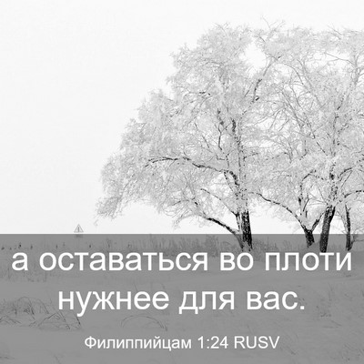 Picture 03 - Филиппийцам 1:24 RUSV - а оставаться во плоти - Bible Verse Picture