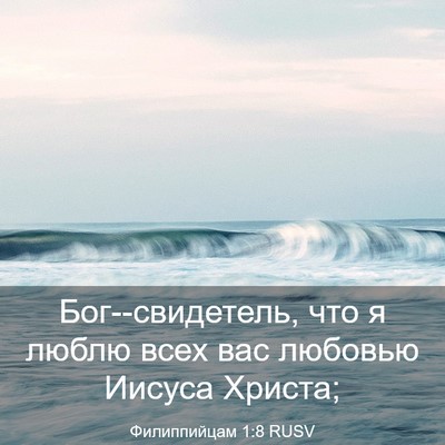 Picture 03 - Филиппийцам 1:8 RUSV - Бог--свидетель, что я люблю - Bible Verse Picture