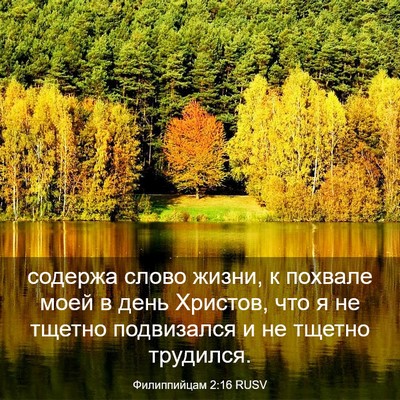 Picture 03 - Филиппийцам 2:16 RUSV - содержа слово жизни, к - Bible Verse Picture