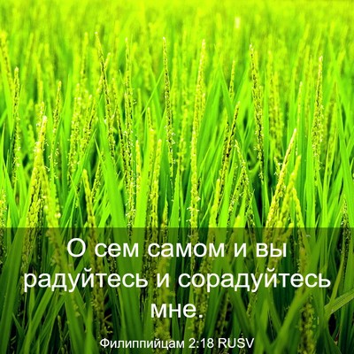 Picture 03 - Филиппийцам 2:18 RUSV - О сем самом и вы радуйтесь - Bible Verse Picture