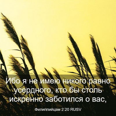 Picture 03 - Филиппийцам 2:20 RUSV - Ибо я не имею никого равно - Bible Verse Picture