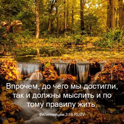 Picture 03 - Филиппийцам 3:16 RUSV - Впрочем, до чего мы - Bible Verse Picture
