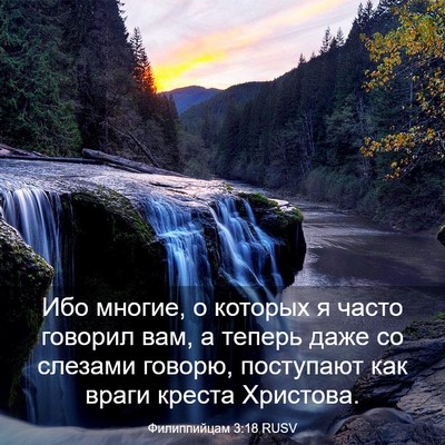Picture 03 - Филиппийцам 3:18 RUSV - Ибо многие, о которых я - Bible Verse Picture