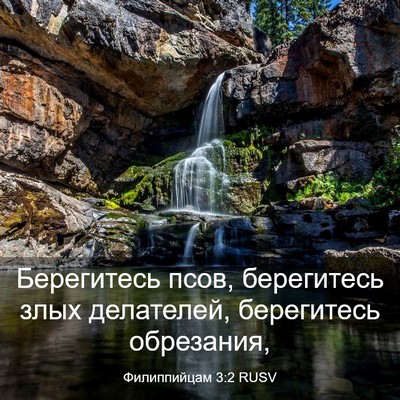 Picture 03 - Филиппийцам 3:2 RUSV - Берегитесь псов, - Bible Verse Picture