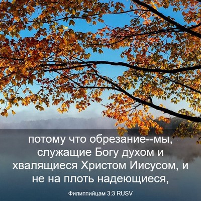 Picture 03 - Филиппийцам 3:3 RUSV - потому что обрезание--мы, - Bible Verse Picture