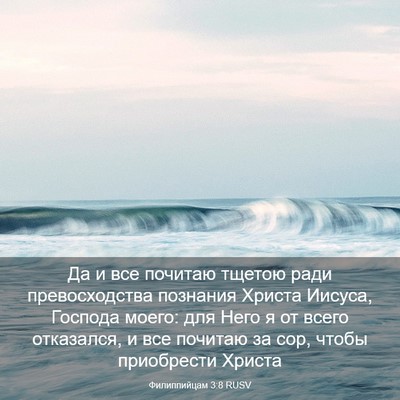 Picture 03 - Филиппийцам 3:8 RUSV - Да и все почитаю тщетою - Bible Verse Picture