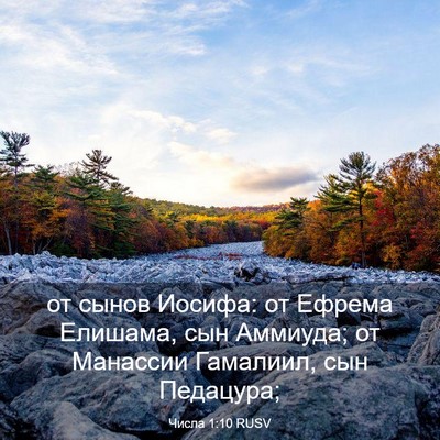 Picture 03 - Числа 1:10 RUSV - от сынов Иосифа: от Ефрема - Bible Verse Picture
