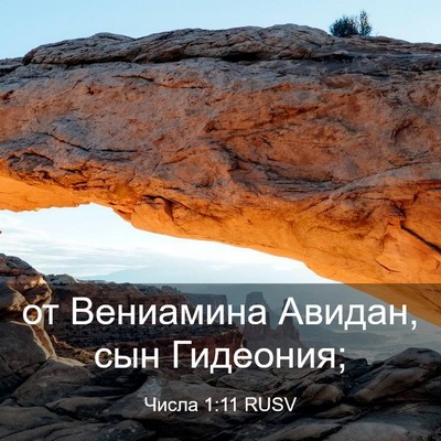 Picture 03 - Числа 1:11 RUSV - от Вениамина Авидан, сын - Bible Verse Picture