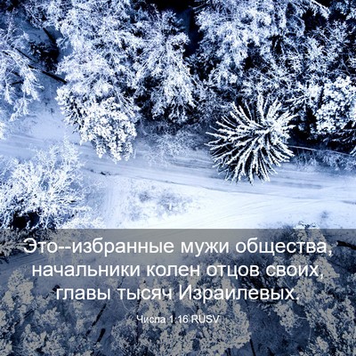 Picture 03 - Числа 1:16 RUSV - Это--избранные мужи - Bible Verse Picture