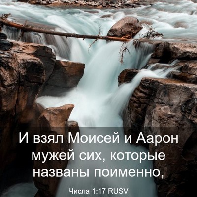 Picture 03 - Числа 1:17 RUSV - И взял Моисей и Аарон мужей - Bible Verse Picture