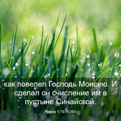 Picture 03 - Числа 1:19 RUSV - как повелел Господь - Bible Verse Picture