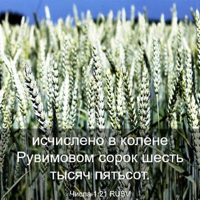Picture 03 - Числа 1:21 RUSV - исчислено в колене - Bible Verse Picture