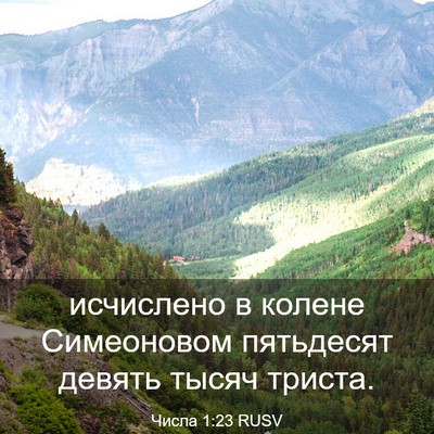 Picture 03 - Числа 1:23 RUSV - исчислено в колене - Bible Verse Picture