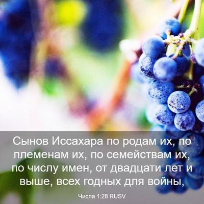Picture 03 - Числа 1:28 RUSV - Сынов Иссахара по родам их, - Bible Verse Picture