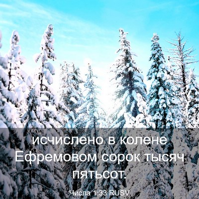 Picture 03 - Числа 1:33 RUSV - исчислено в колене - Bible Verse Picture