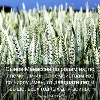 Picture 03 - Числа 1:34 RUSV - Сынов Манассии по родам их, - Bible Verse Picture