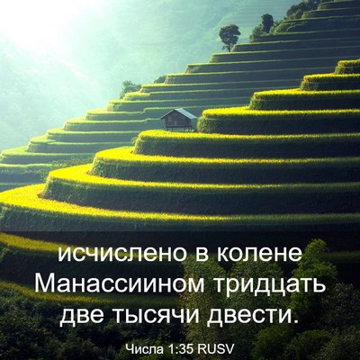 Picture 03 - Числа 1:35 RUSV - исчислено в колене - Bible Verse Picture