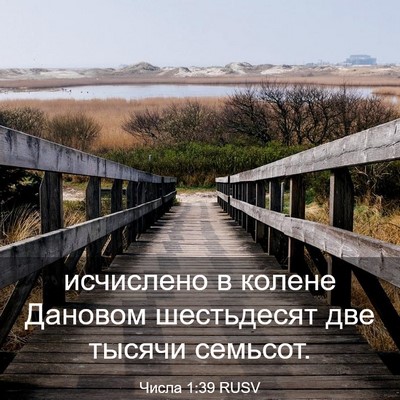 Picture 03 - Числа 1:39 RUSV - исчислено в колене Дановом - Bible Verse Picture