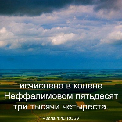 Picture 03 - Числа 1:43 RUSV - исчислено в колене - Bible Verse Picture