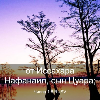 Picture 03 - Числа 1:8 RUSV - от Иссахара Нафанаил, сын - Bible Verse Picture