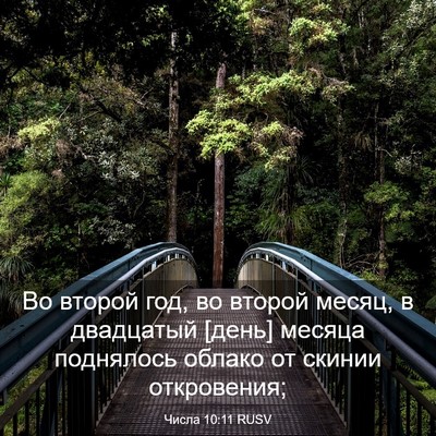 Picture 03 - Числа 10:11 RUSV - Во второй год, во второй - Bible Verse Picture