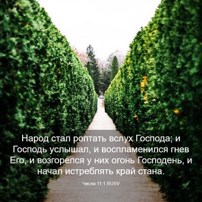 Picture 03 - Числа 11:1 RUSV - Народ стал роптать вслух - Bible Verse Picture