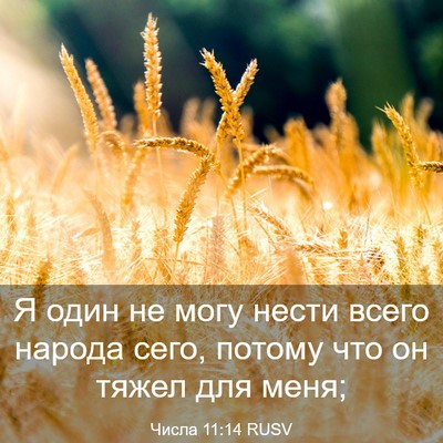 Picture 03 - Числа 11:14 RUSV - Я один не могу нести всего - Bible Verse Picture