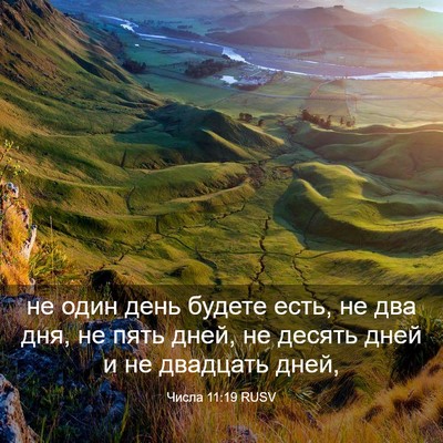 Picture 03 - Числа 11:19 RUSV - не один день будете есть, - Bible Verse Picture