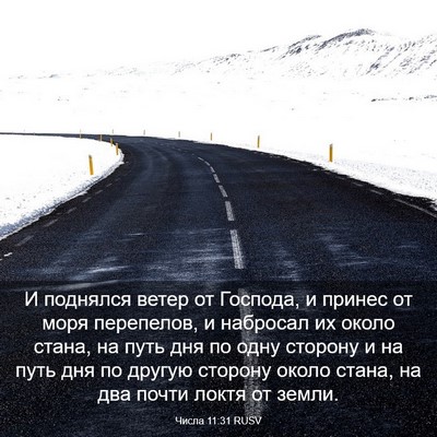Picture 03 - Числа 11:31 RUSV - И поднялся ветер от - Bible Verse Picture