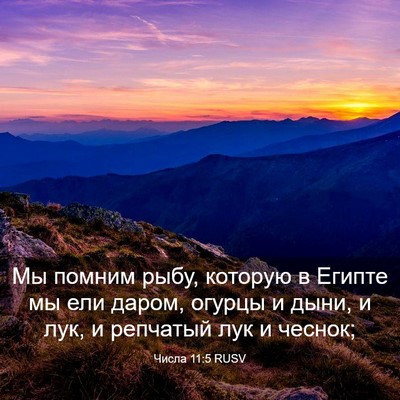 Picture 03 - Числа 11:5 RUSV - Мы помним рыбу, которую в - Bible Verse Picture