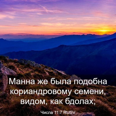 Picture 03 - Числа 11:7 RUSV - Манна же была подобна - Bible Verse Picture
