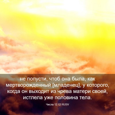 Picture 03 - Числа 12:12 RUSV - не попусти, чтоб она была, - Bible Verse Picture