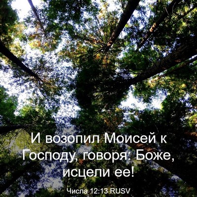 Picture 03 - Числа 12:13 RUSV - И возопил Моисей к Господу, - Bible Verse Picture