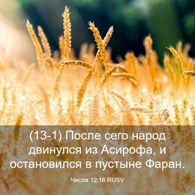 Picture 03 - Числа 12:16 RUSV - (13-1) После сего народ - Bible Verse Picture