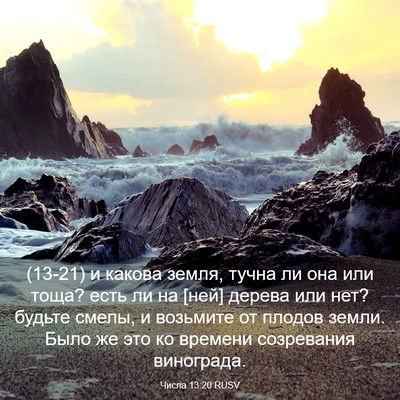 Picture 03 - Числа 13:20 RUSV - (13-21) и какова земля, тучна - Bible Verse Picture