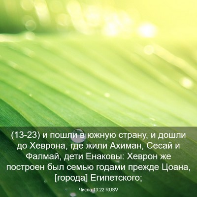 Picture 03 - Числа 13:22 RUSV - (13-23) и пошли в южную страну, - Bible Verse Picture