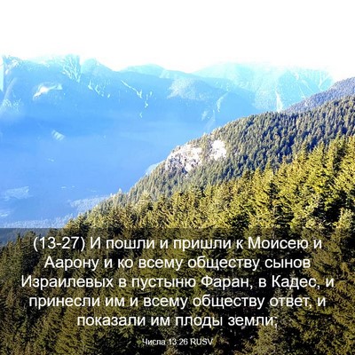 Picture 03 - Числа 13:26 RUSV - (13-27) И пошли и пришли к - Bible Verse Picture