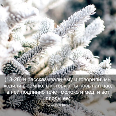 Picture 03 - Числа 13:27 RUSV - (13-28) и рассказывали ему и - Bible Verse Picture