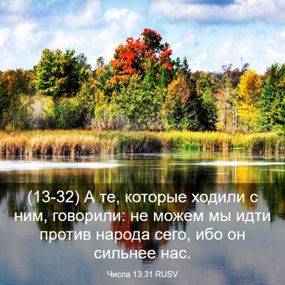 Picture 03 - Числа 13:31 RUSV - (13-32) А те, которые ходили с - Bible Verse Picture