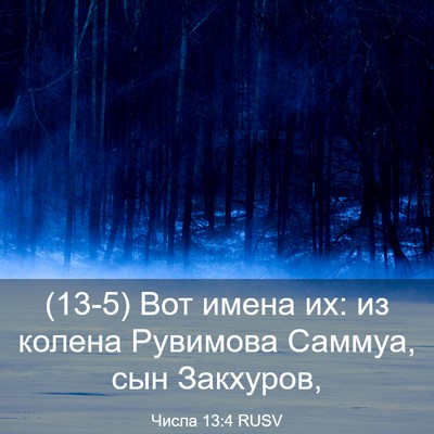 Picture 03 - Числа 13:4 RUSV - (13-5) Вот имена их: из колена - Bible Verse Picture