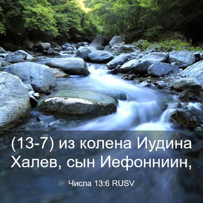 Picture 03 - Числа 13:6 RUSV - (13-7) из колена Иудина Халев, - Bible Verse Picture