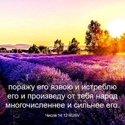 Picture 03 - Числа 14:12 RUSV - поражу его язвою и - Bible Verse Picture