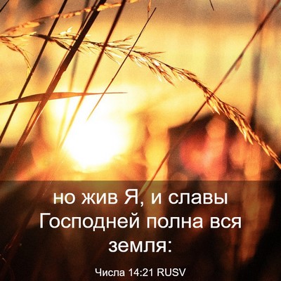 Picture 03 - Числа 14:21 RUSV - но жив Я, и славы Господней - Bible Verse Picture